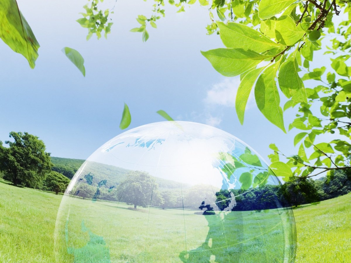 Экологически чистая природа