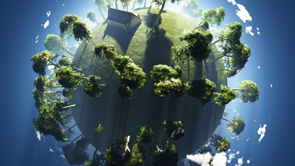 Экология дерево Планета