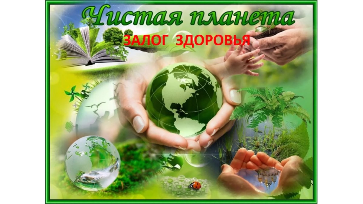 Сбережем природу