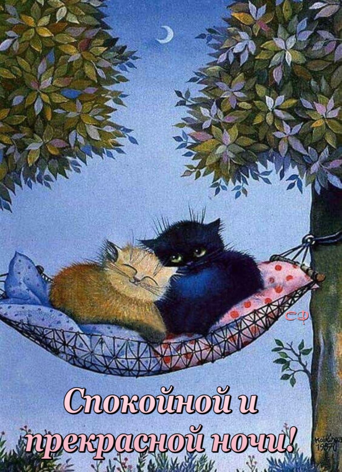 Доброй ночи котик