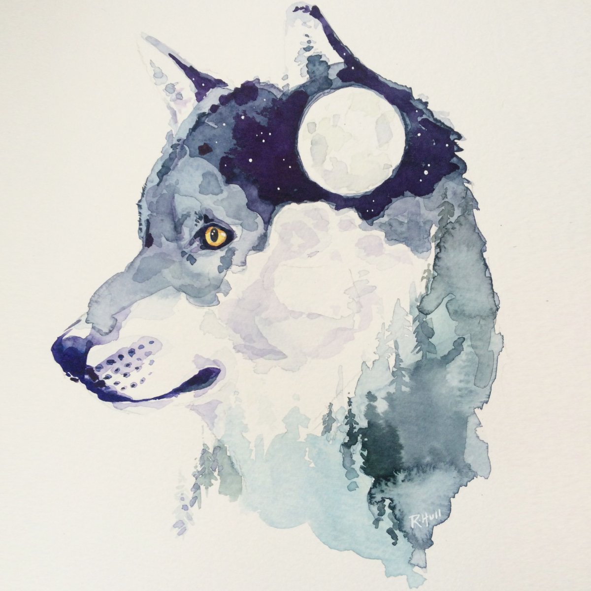 Волков акварели