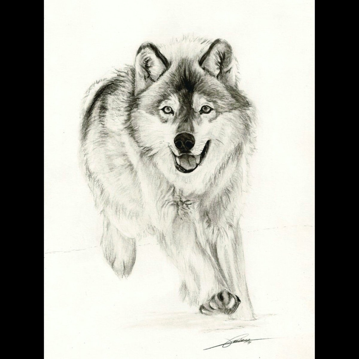 Арт голова волка