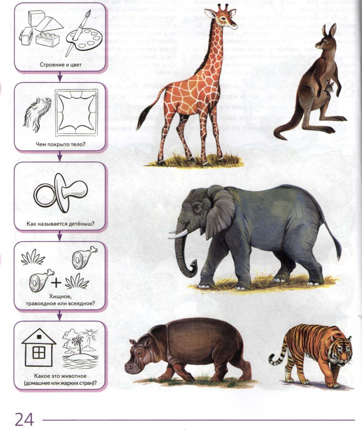 Животные Юга