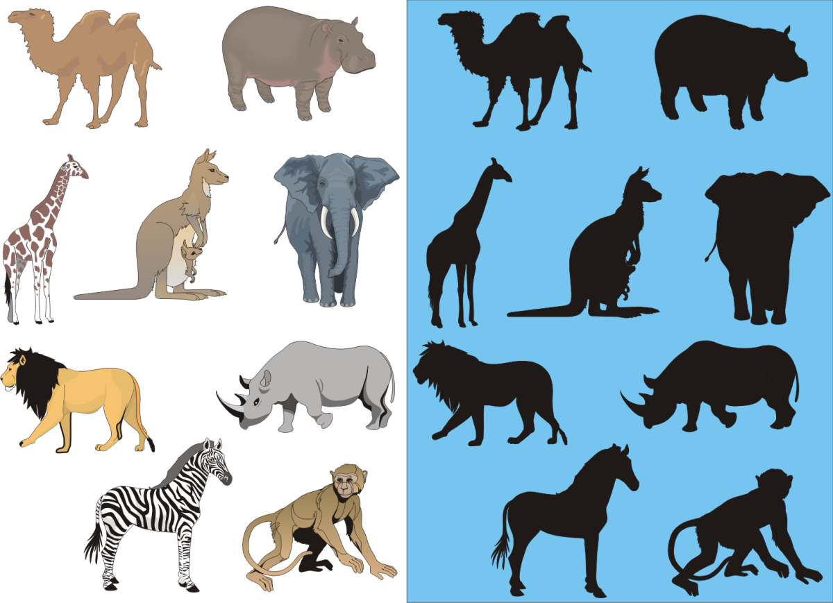 Плакат. Животные Африки