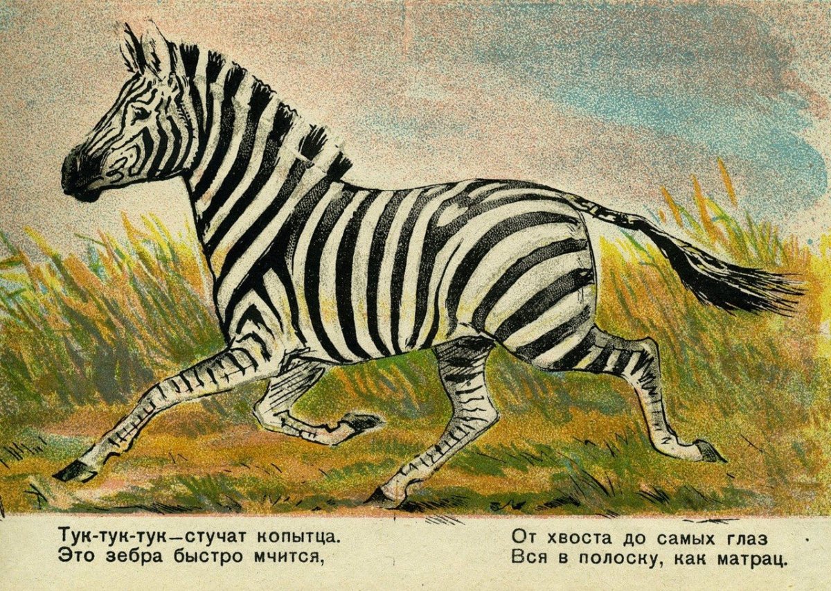 Африканский слон на белом фоне