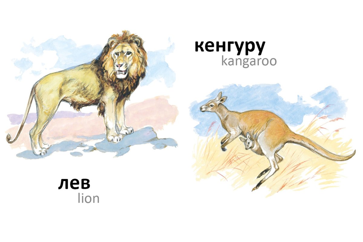 Задания по лексической теме животные Африки