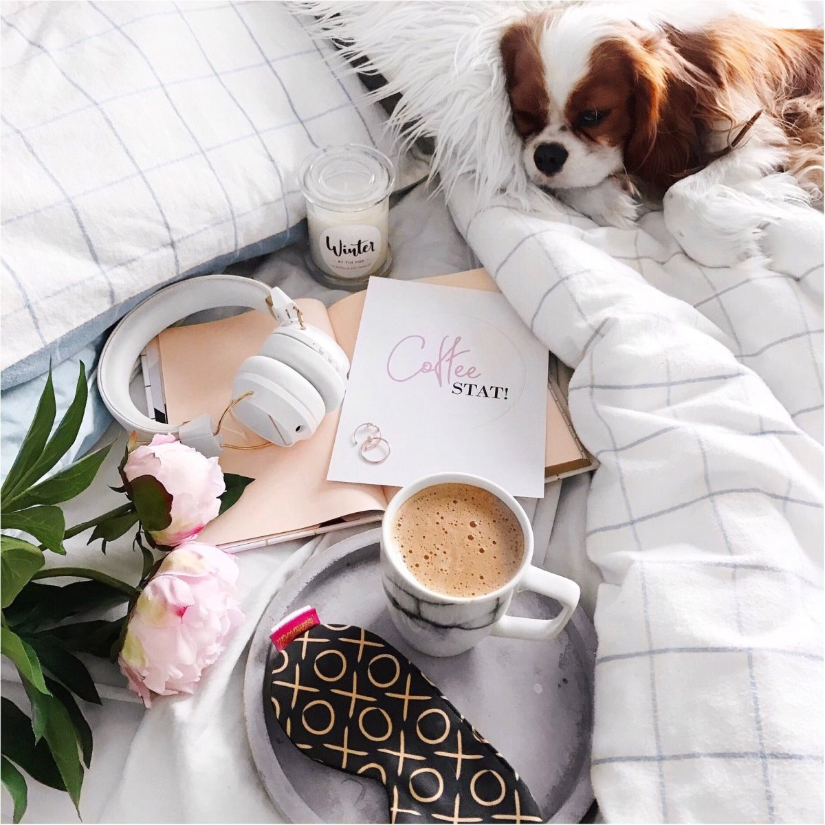 Доброе утречко прикольные