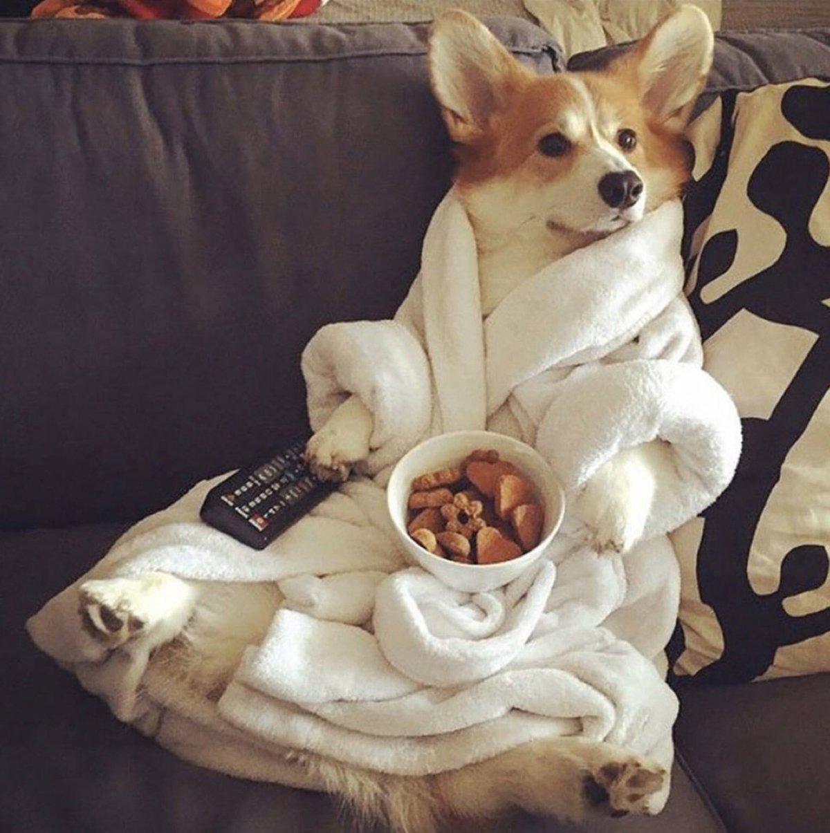 Доброе утро модные стильные