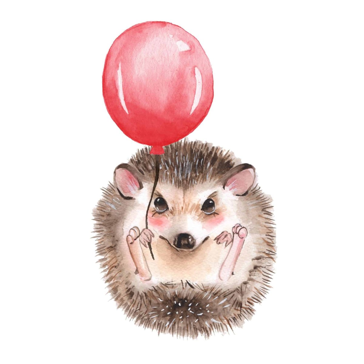 Ежик с шариком