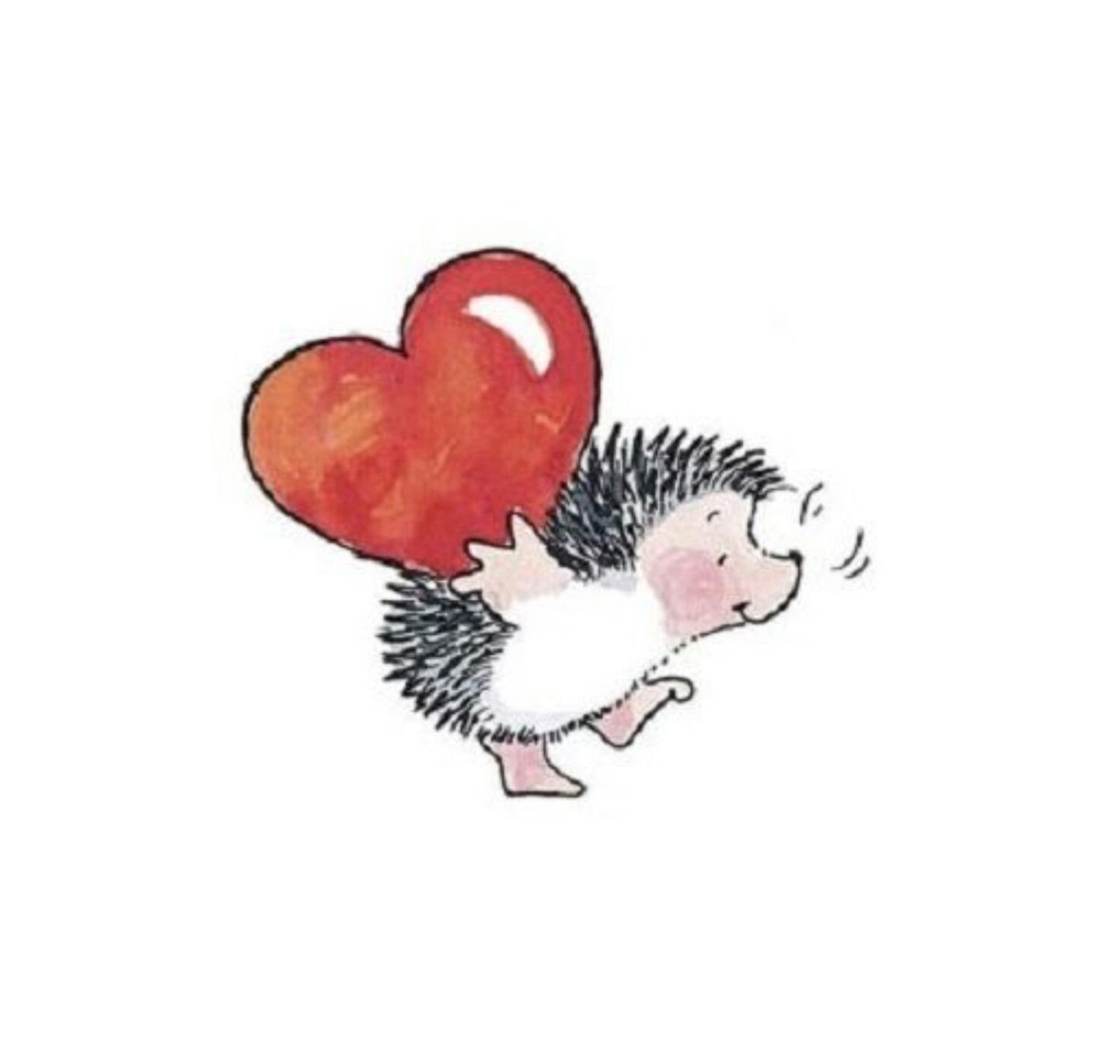 Евгения Соловьева иллюстрации ежики