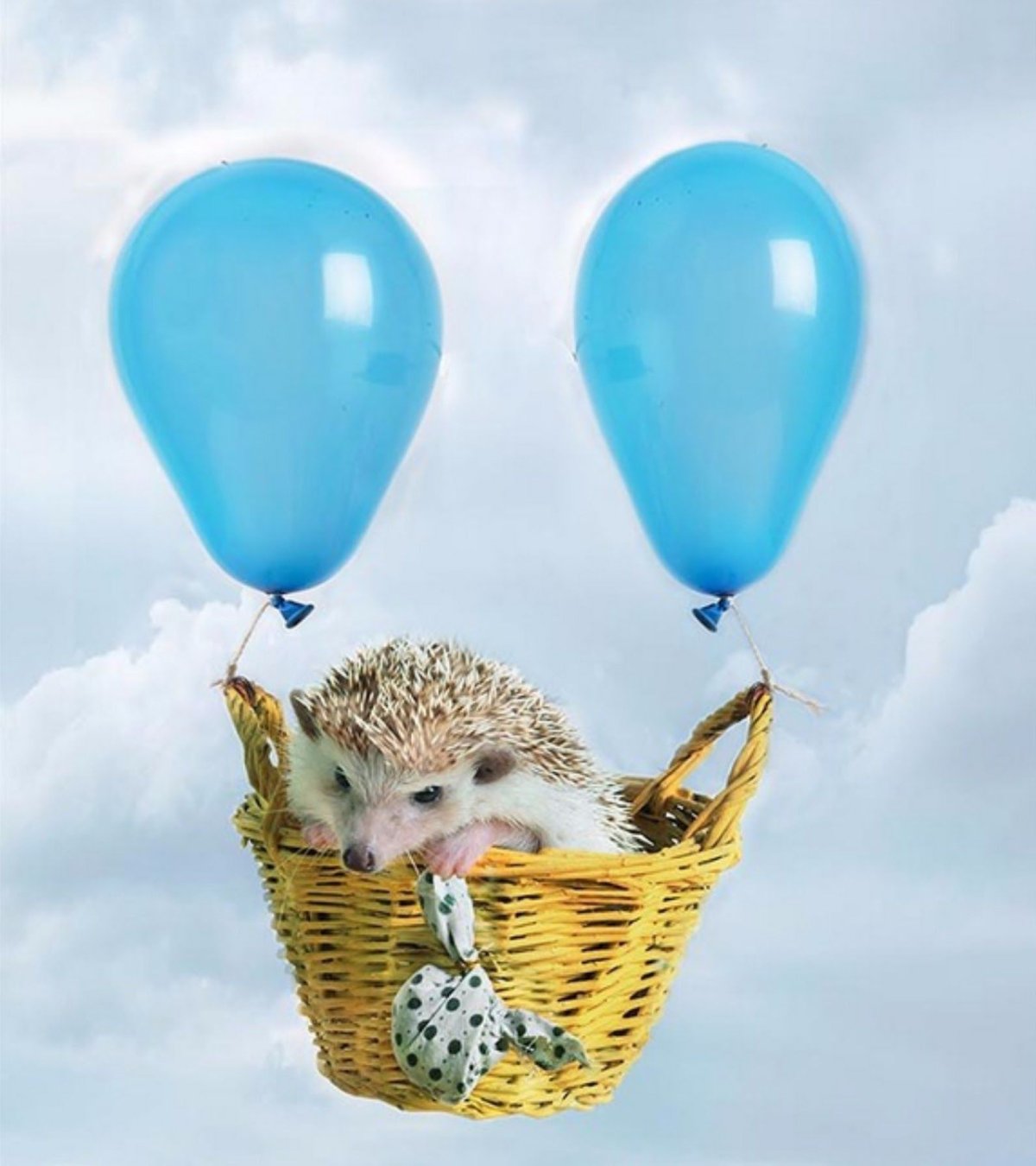 Ёжик и сердечко