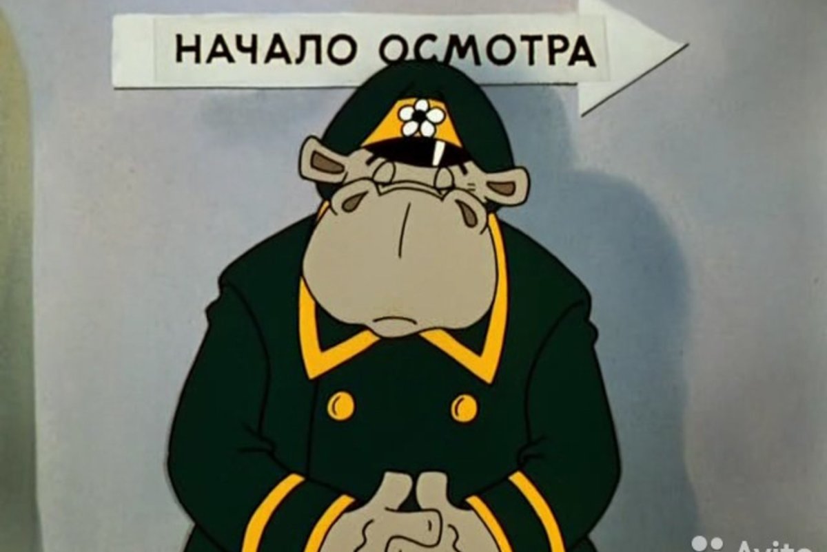 Свинья из ну погоди на пляже