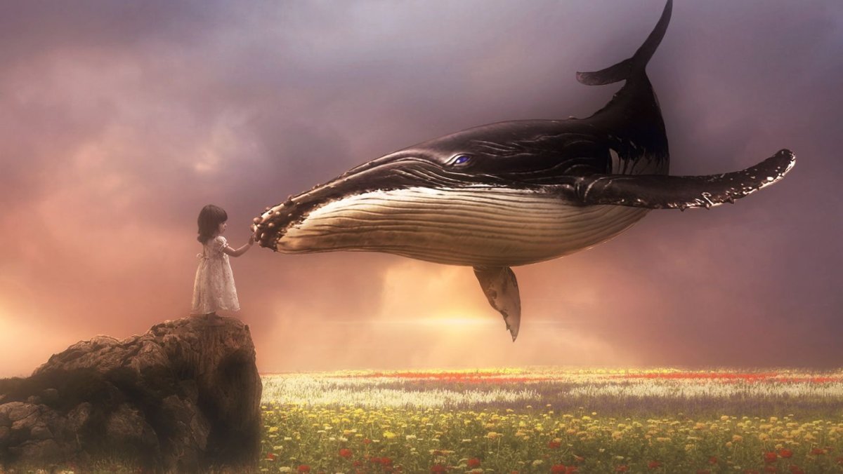 Иллюстрация кит за окном