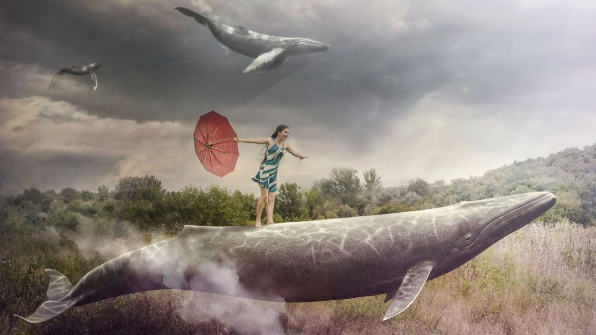 Девушка и кит