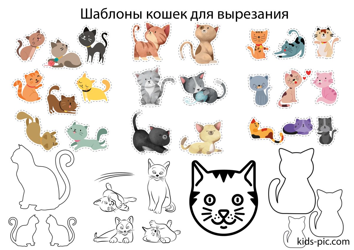 Коты Аристократы кошечка Мари