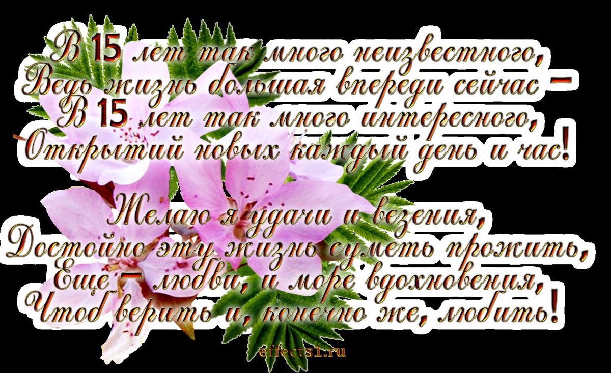 С днёмрожденияплемянник