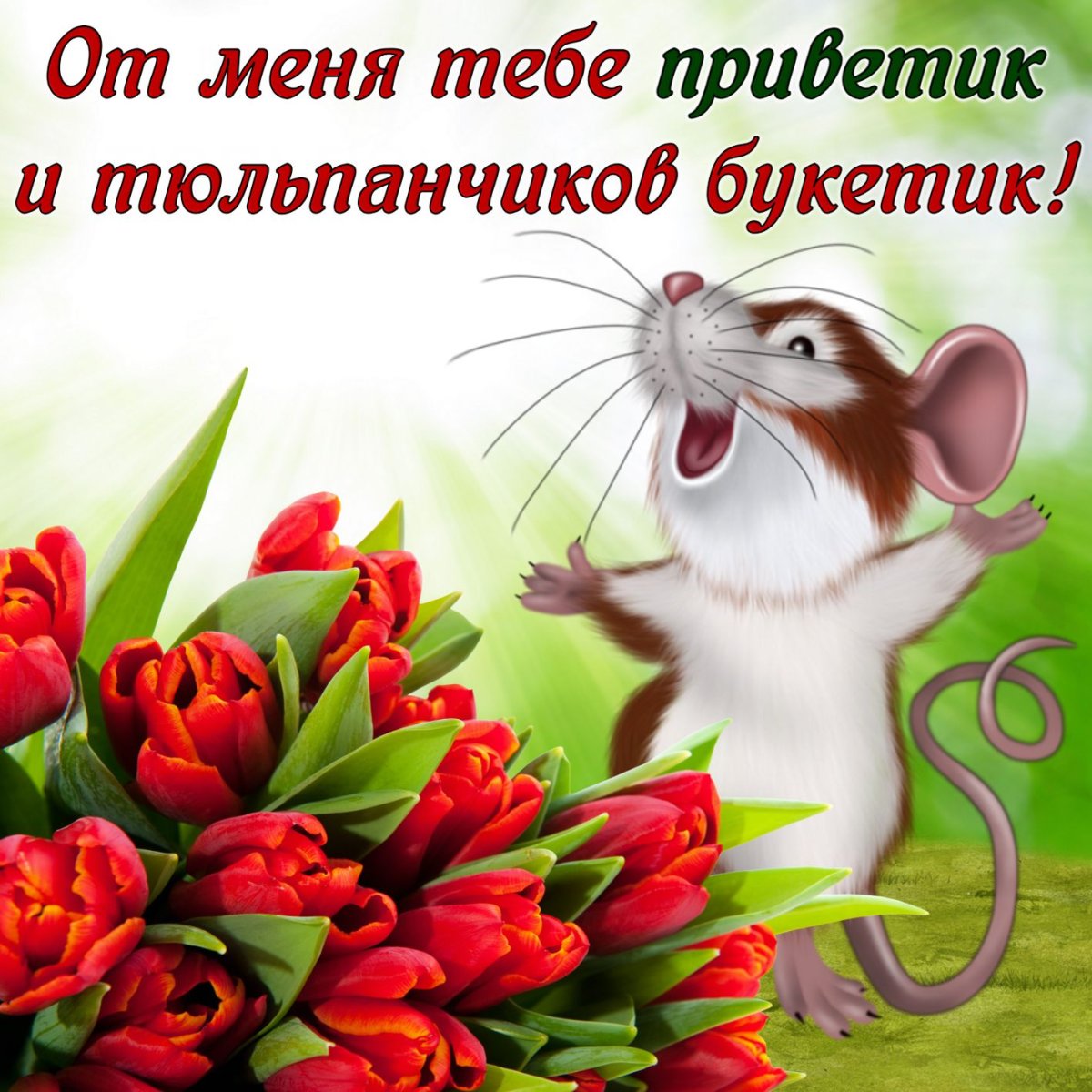 Открытки с приветом и пожеланиями