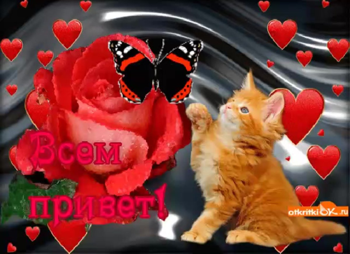 Зимний приветик открытки