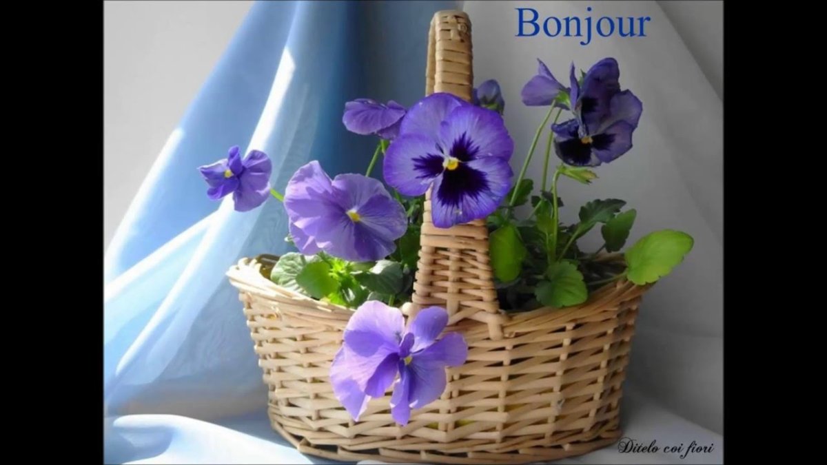 Доброе утро Анютины глазки