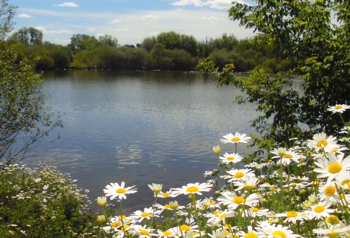 Красота родного края