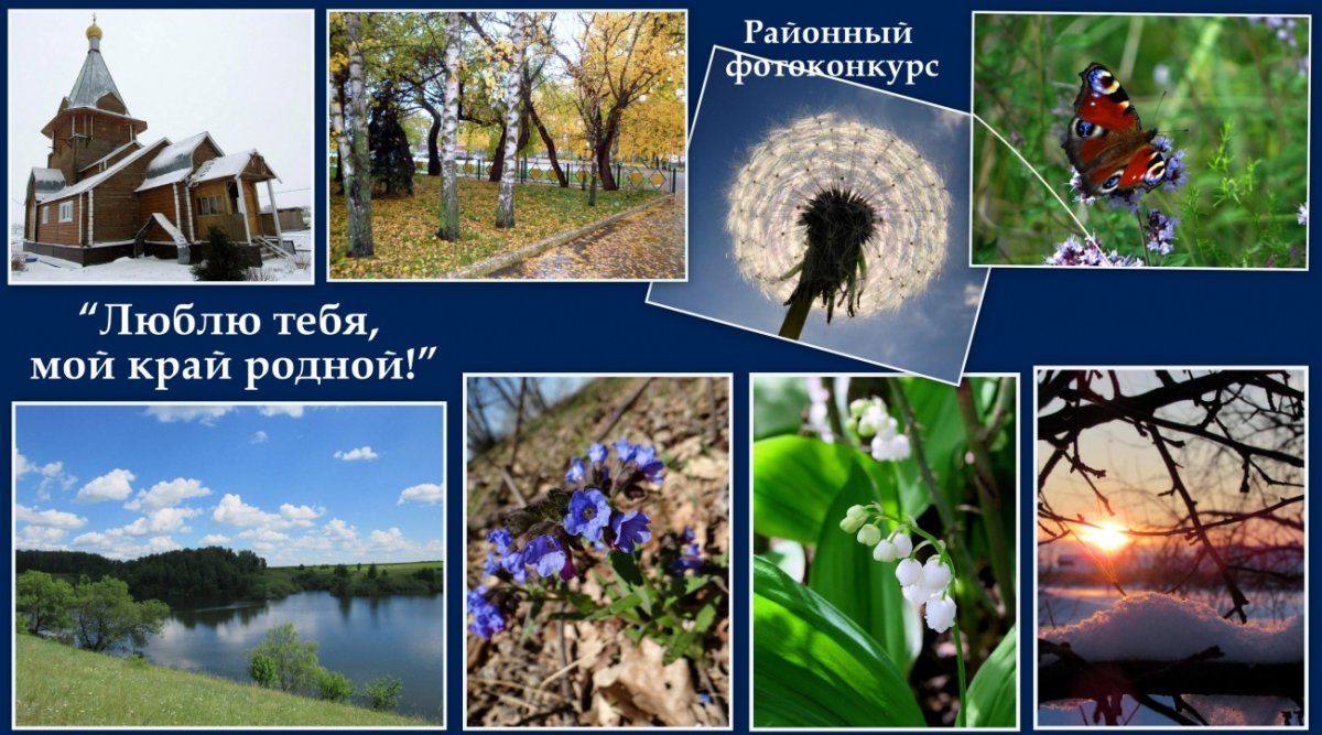 Фотоконкурс люблю тебя мой край родной