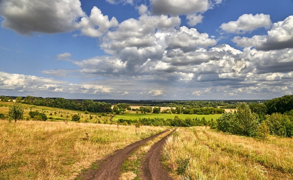 Родные просторы России