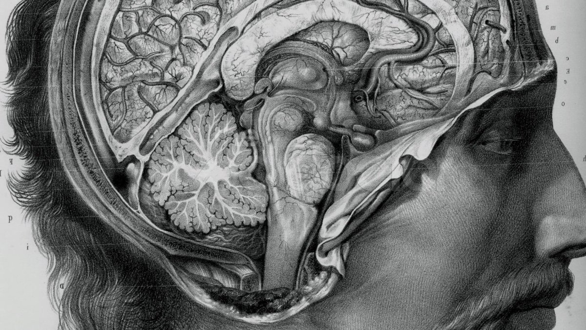 Лучший подарок врачу