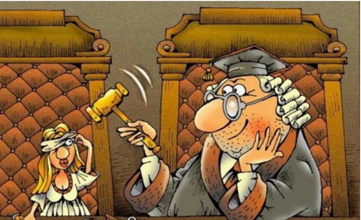 Приколы про суд