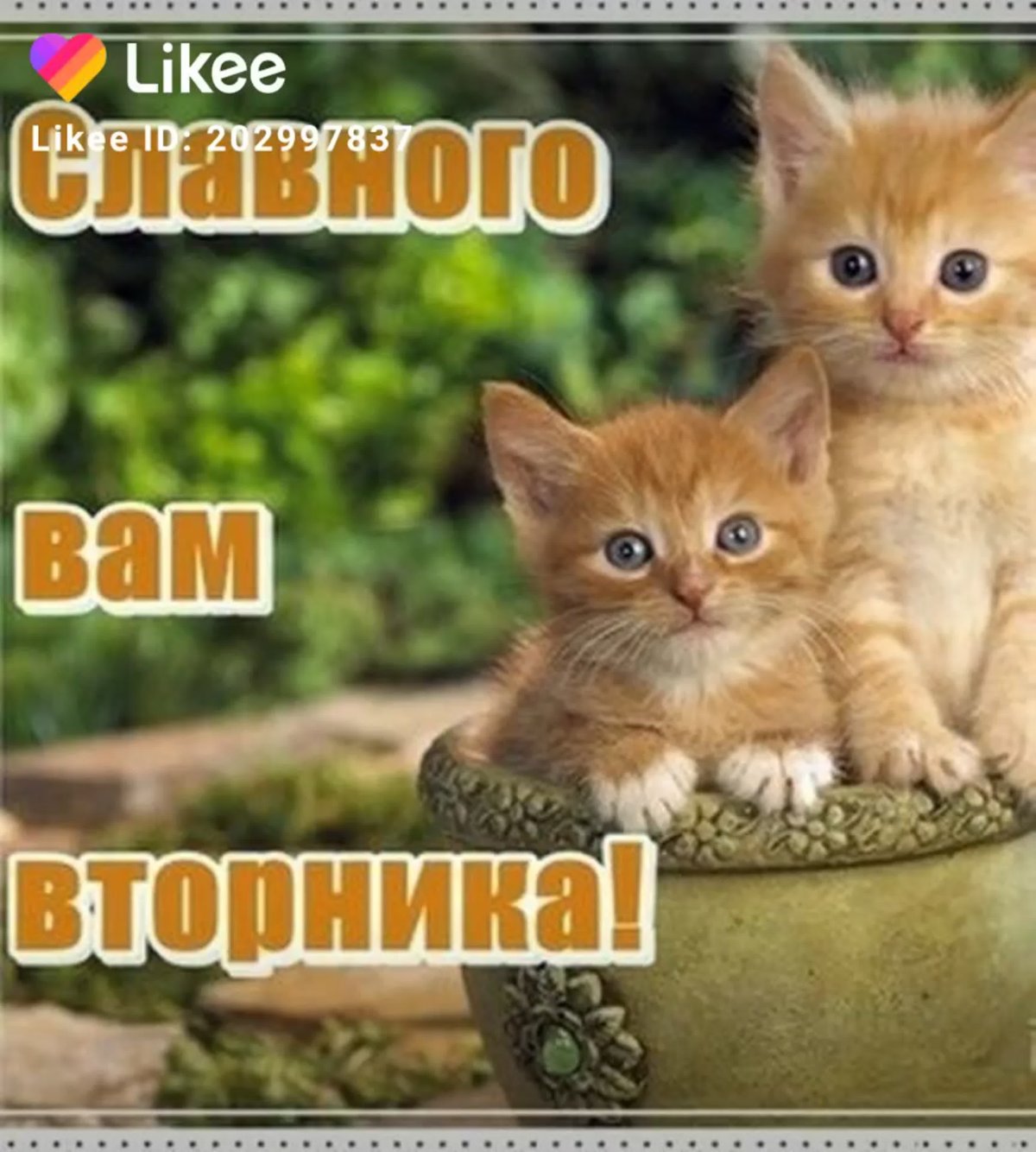 Поздравления со вторником