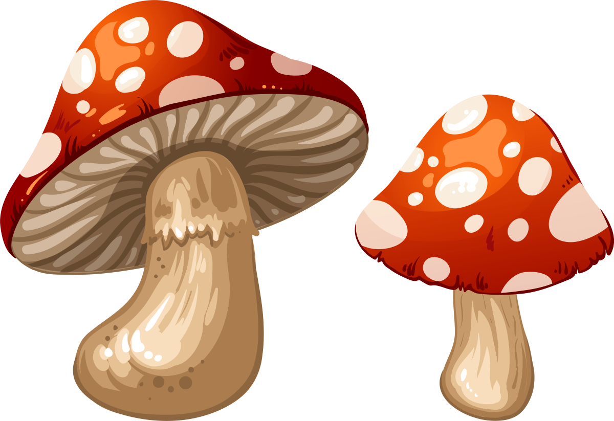 Нарисовать гриб