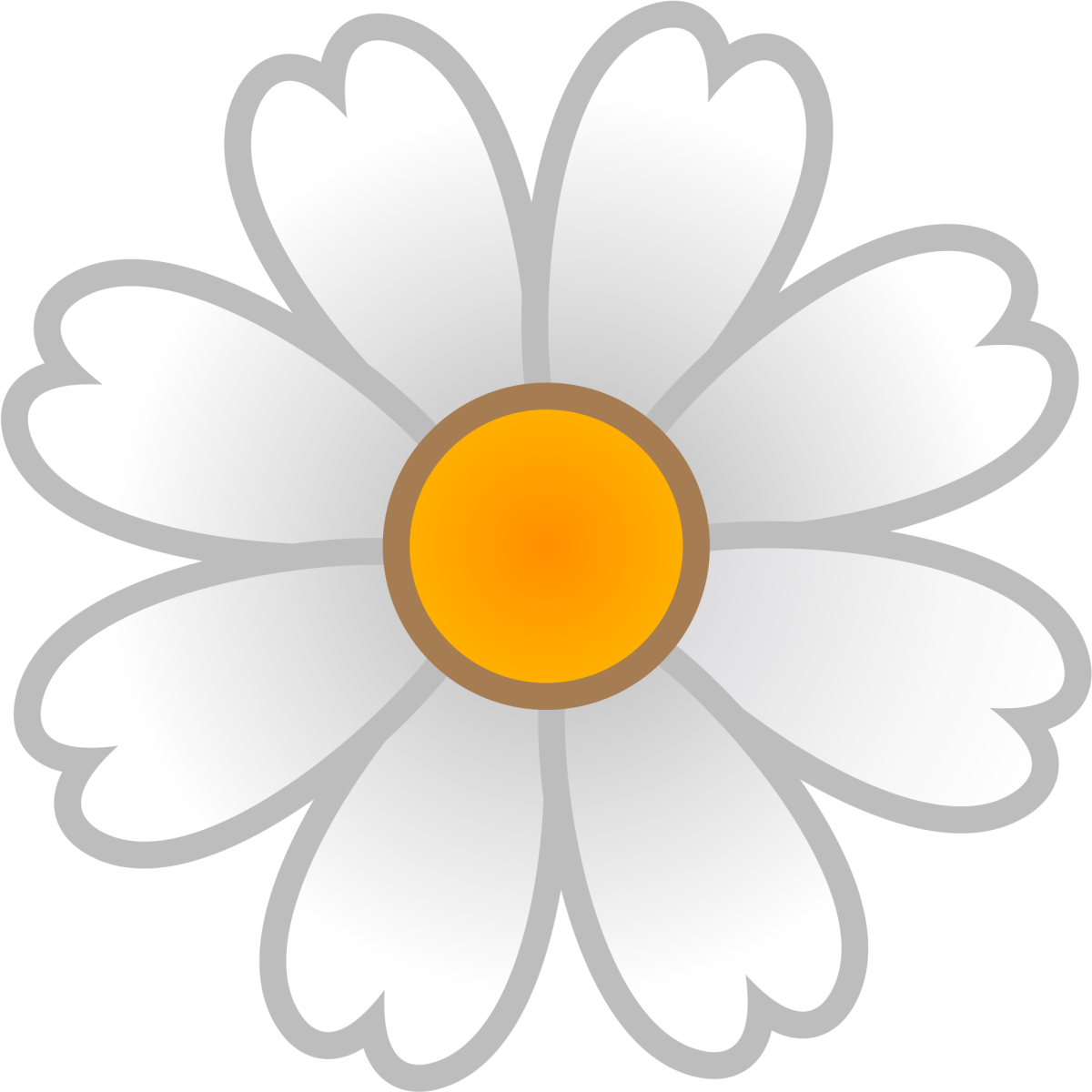 Ромашки нарисованные на прозрачном фоне