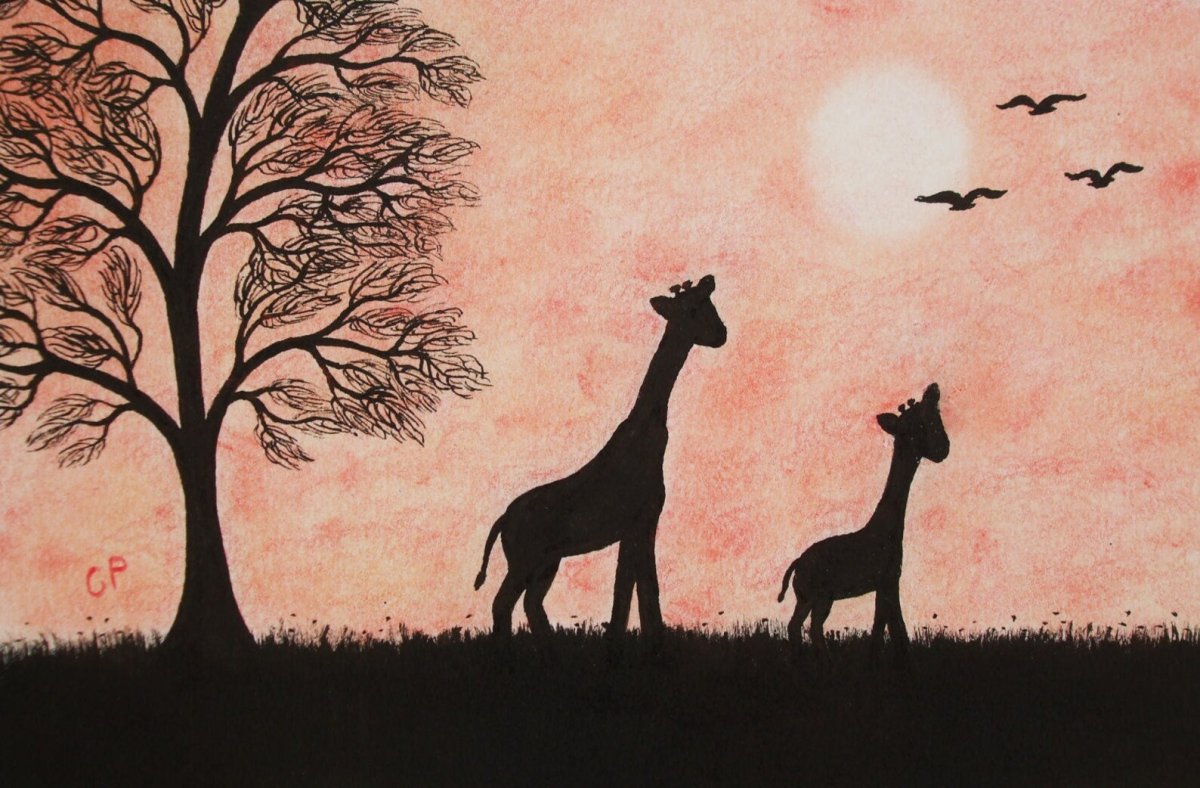 Найди тень жирафа