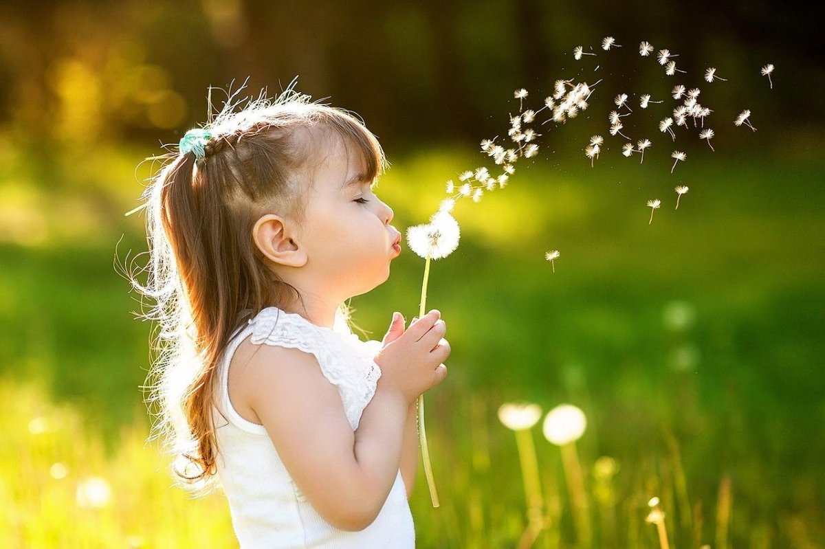 Одуванчик для детей