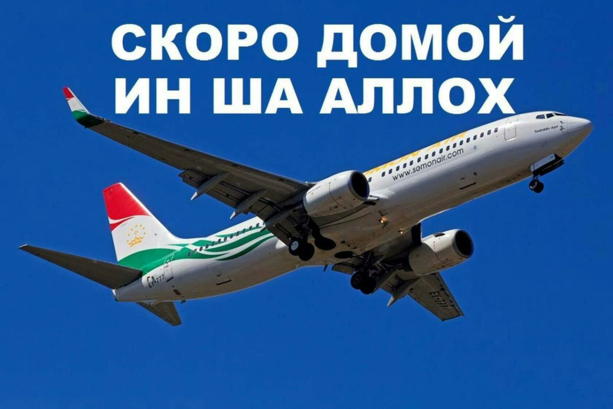 Скоро домой