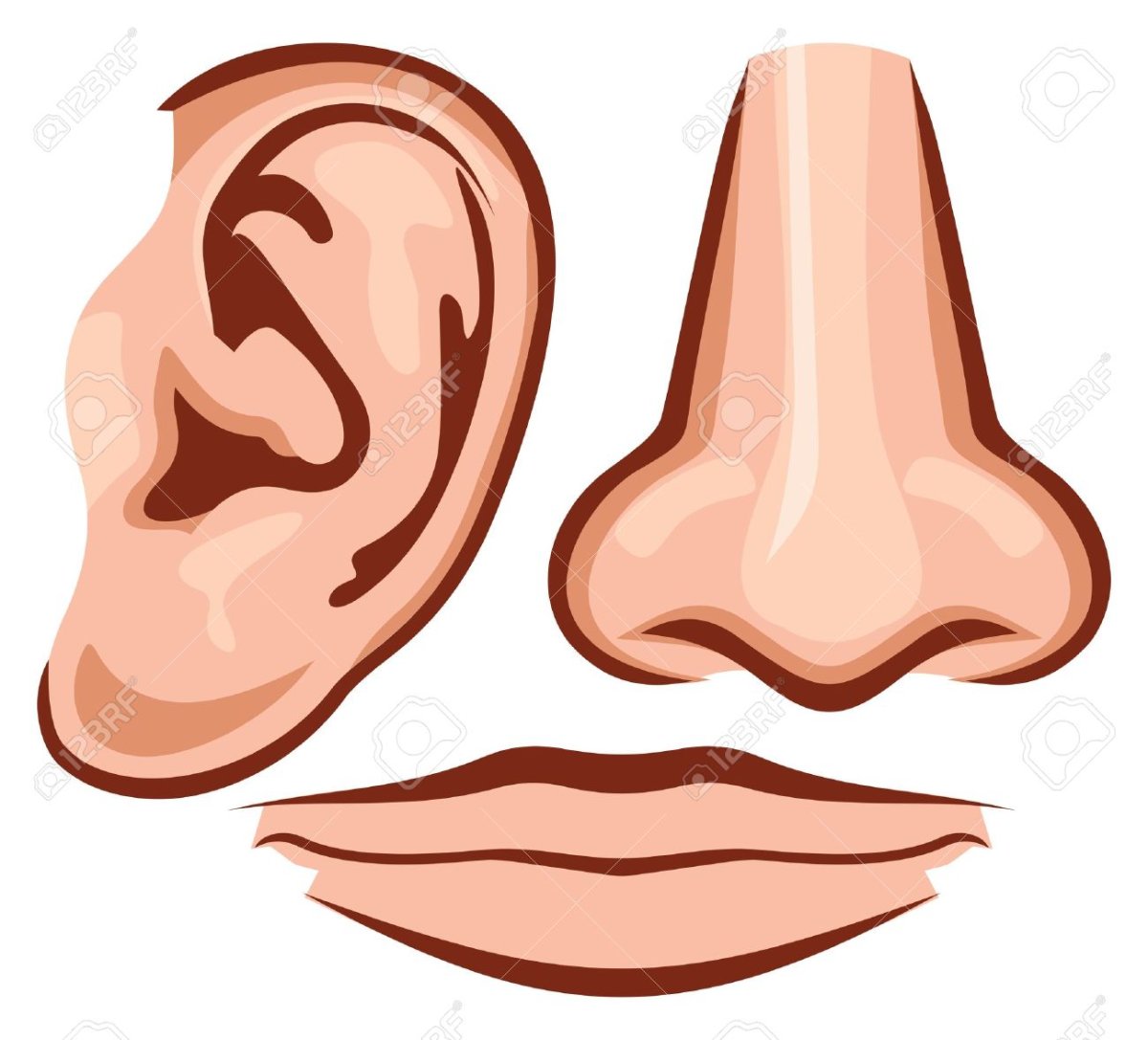 Нос картинки для детей н