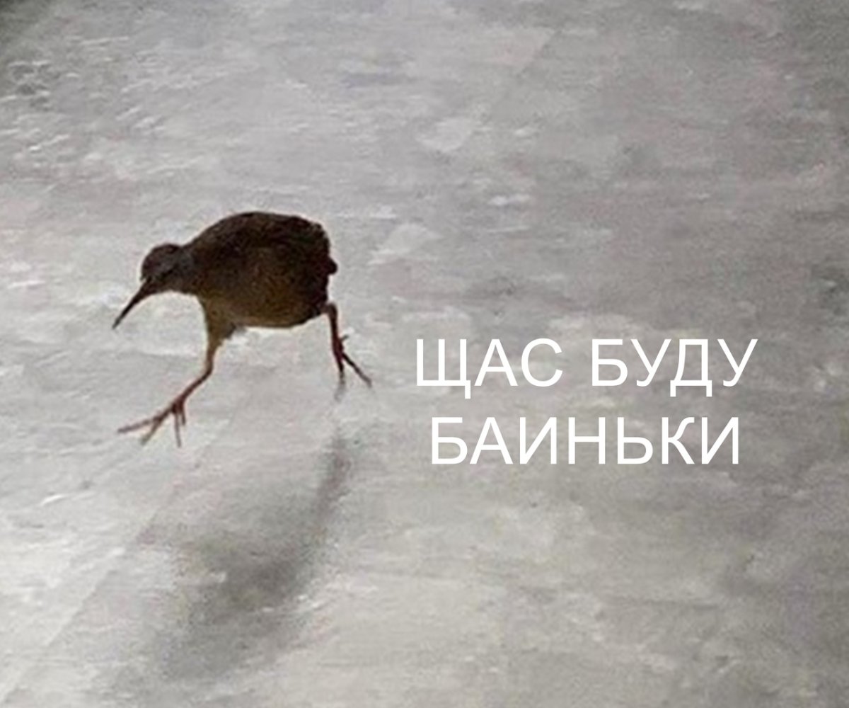 Домой с работы прикольные