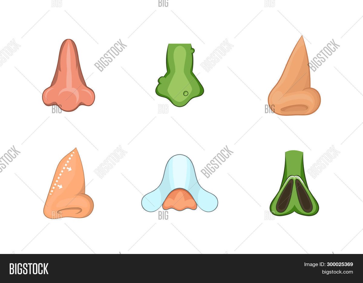 Знак перечеркнутый нос