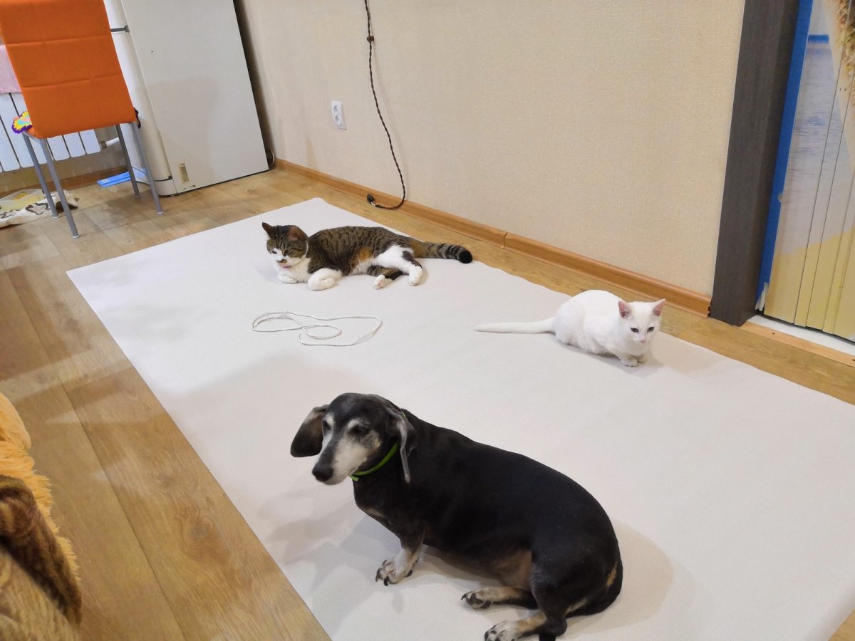 Приколы про ремонт в квартире