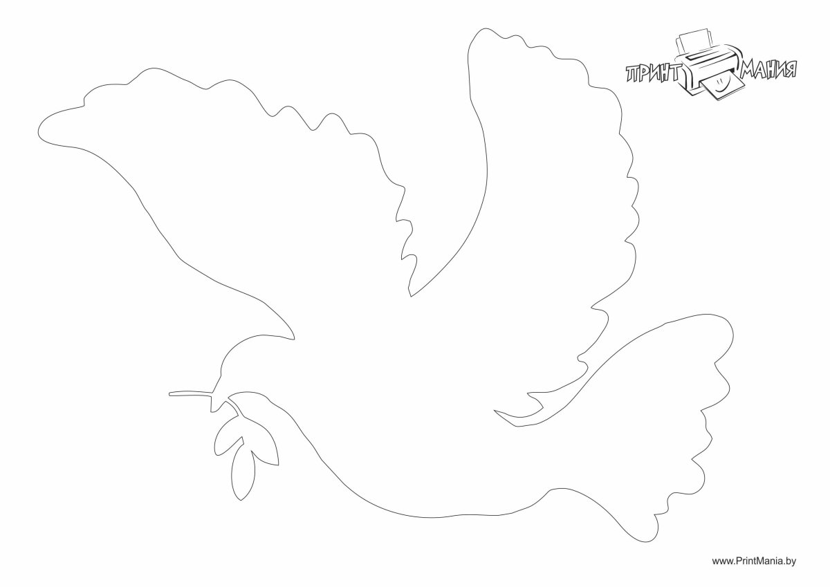 Белый голубь контур