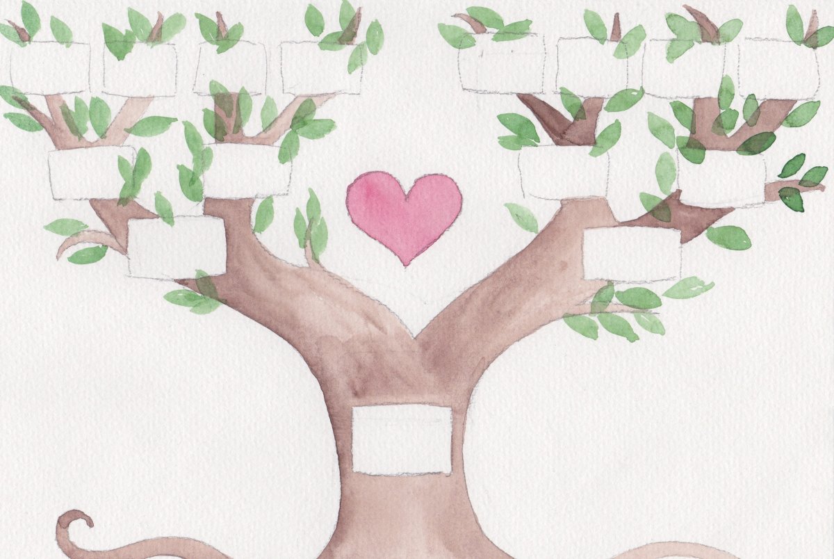 Рисование генеалогического дерева