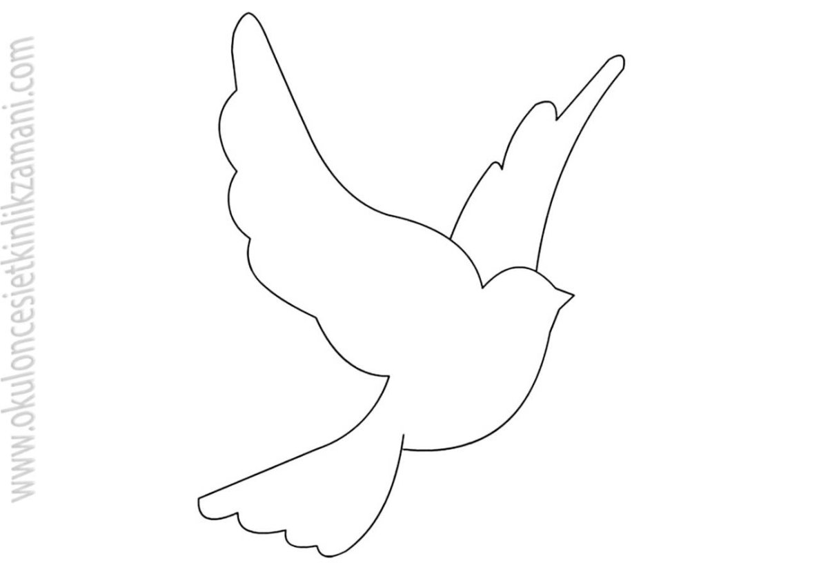 Белый голубь контур