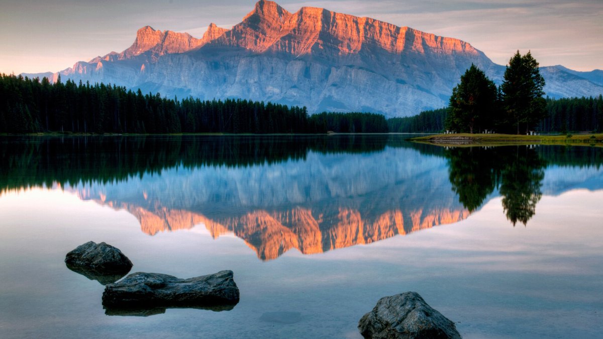 Природа отражение