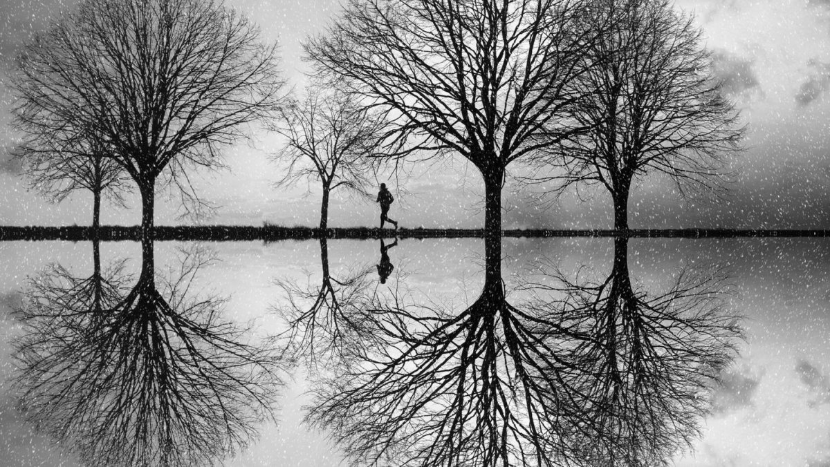 Отражение в воде