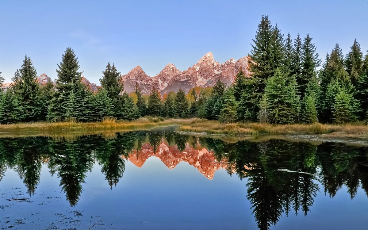 Зеркальная симметрия в природе