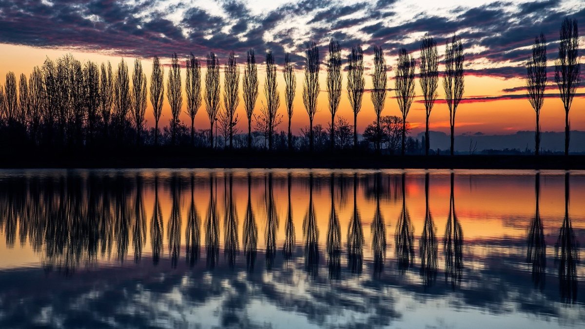 Симметричный пейзаж