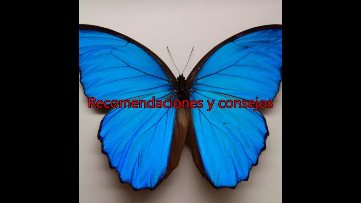 Маска золотого сечения Марквардт