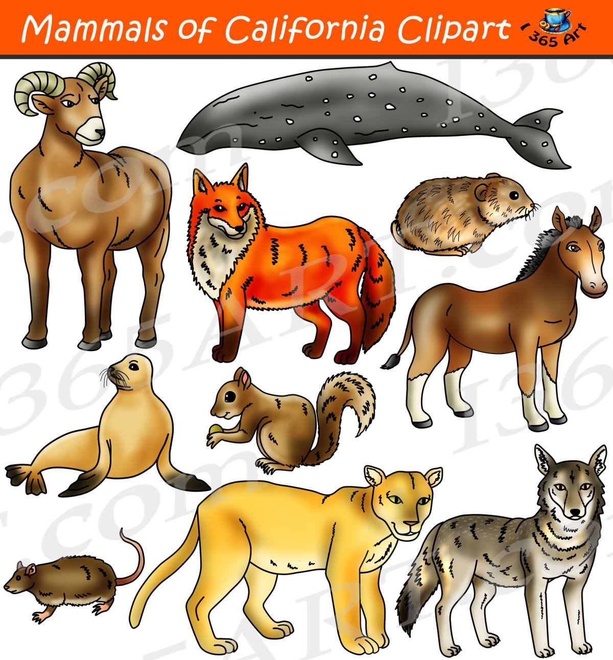 Млекопитающие для детей