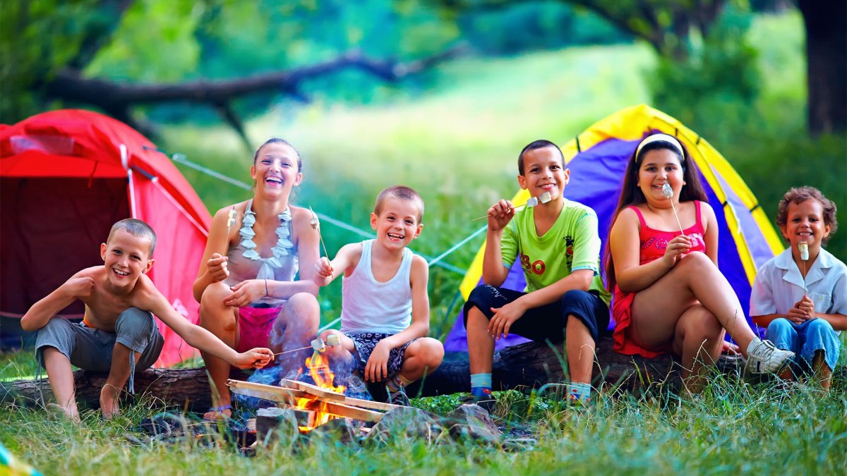 Лето каникулы