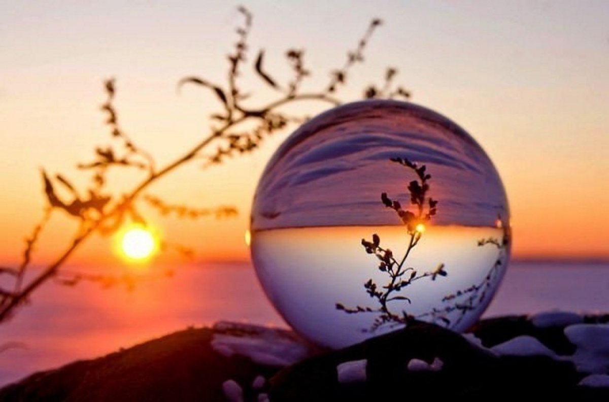 Мудрость природы