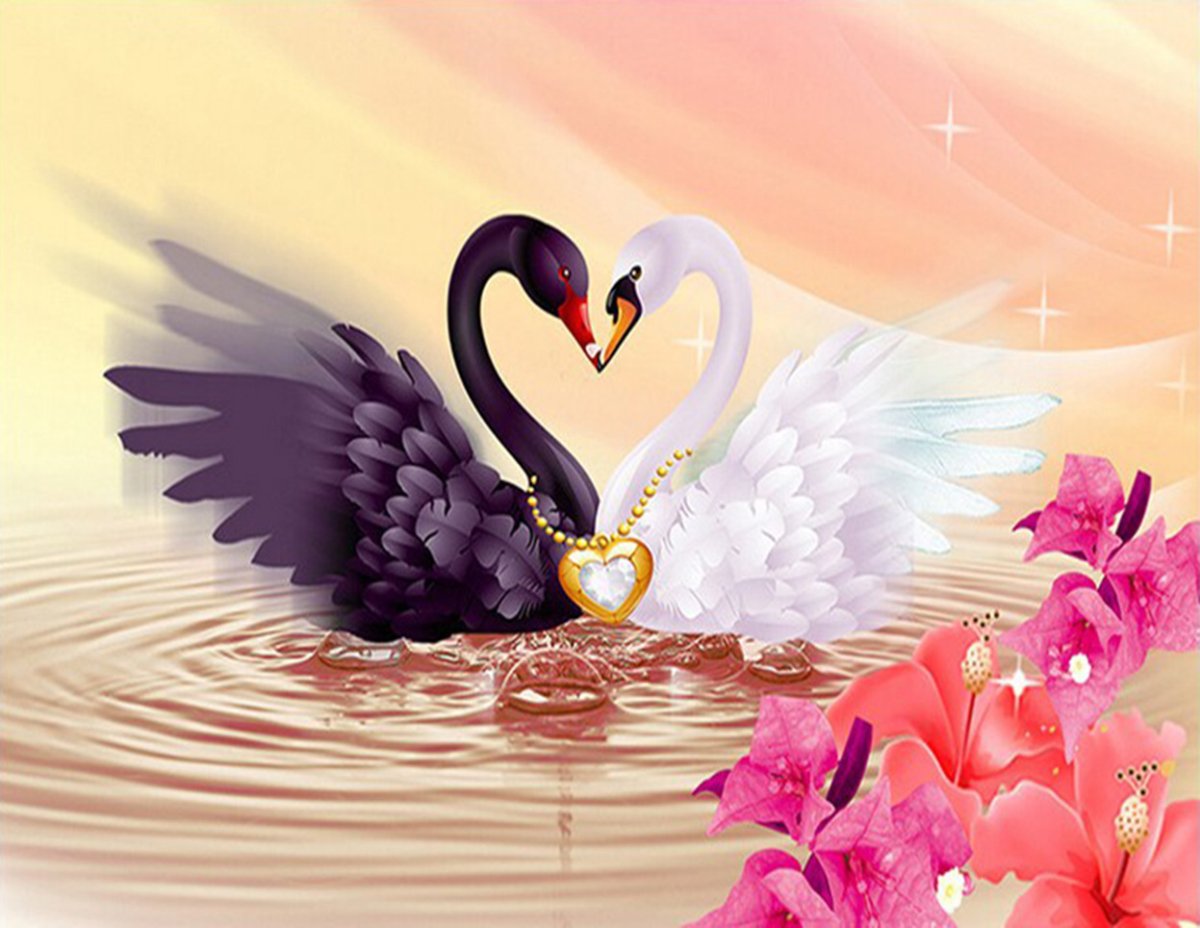 Лебеди сердечком